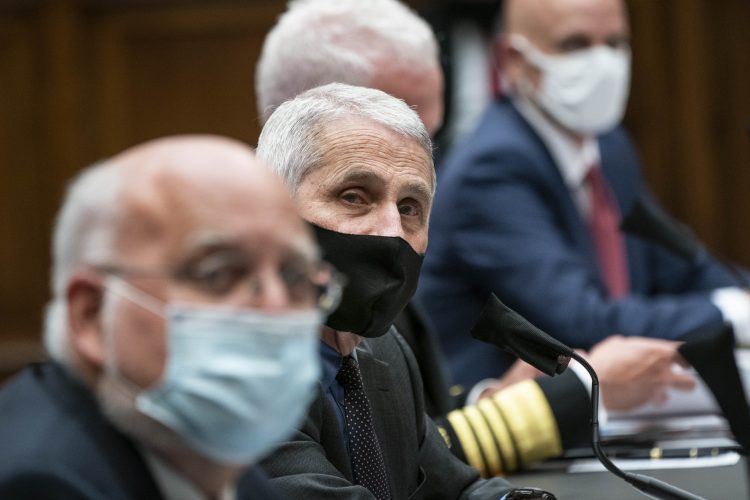 Fauci hopeful for a vaccine by late 2020, early 2021